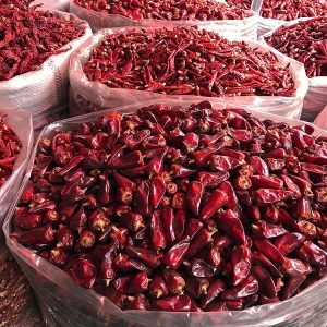 Alternative view of Wholesale Lantern Chili (Deng Long Jiao, 灯笼椒)